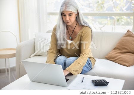 Serious grey haired older woman doing domestic accounting work 112821003