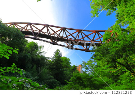 [Ishikawa Prefecture] Manryoku no Yatoribashi 112821258