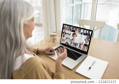 Diverse colleagues meeting online, talking on group video call 112821315