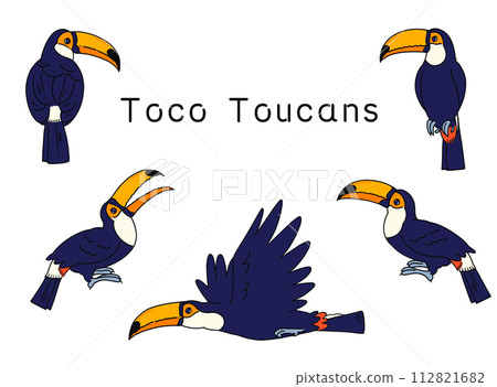 Hand-drawn toucan illustration material set Hand-drawn toucan illustration material set 112821682