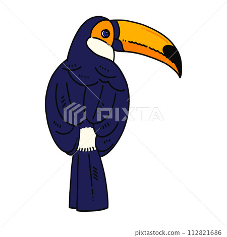 Hand drawn toucan illustration material 112821686