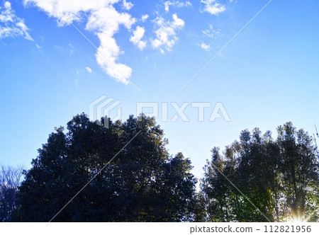 藍色的天空和雲圖像 112821956