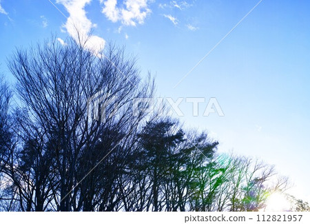 藍色的天空和雲圖像 藍色的天空和雲圖像 112821957
