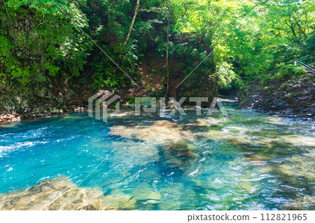 志摩坑洞組(夏季) 志摩坑洞組(夏季) 112821965