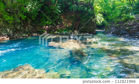 志摩坑洞組(夏季) 志摩坑洞組(夏季) 112821966