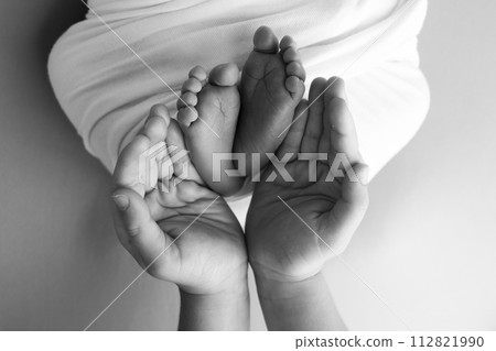 The palms of the father, the mother are holding the foot of the newborn baby. Feet of the newborn on the palms of the parents. Studio macro black and white photo of a child's toes, heels and feet. The palms of the father, the mother are holding the foot of the newborn baby. Feet of the newborn on the palms of the parents. Studio macro black and white photo of a child's toes, heels and feet. 112821990