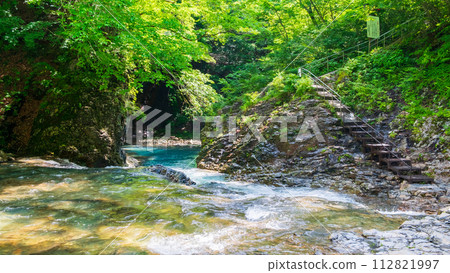 志摩坑洞組（夏季） 112821997