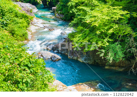 志摩坑洞組（夏季） 112822042