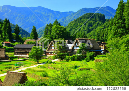 [Toyama Prefecture] View of the fresh green Gokayama Ainokura gassho village 112822366