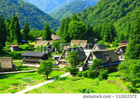 [Toyama Prefecture] View of the fresh green Gokayama Ainokura gassho village 112822372