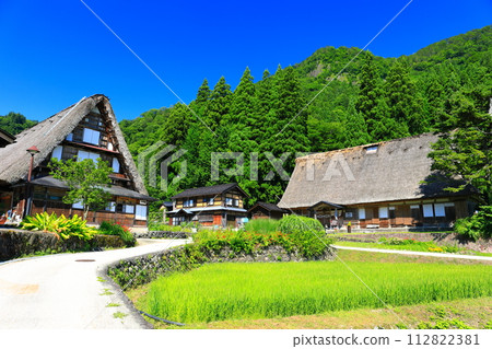 [富山]新鮮的綠色五ka山愛倉合掌村 112822381