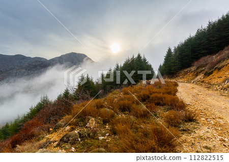 Thick fog descending mountain slope on winter day 112822515