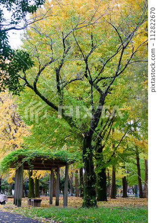 秋天的公園風景 112822670