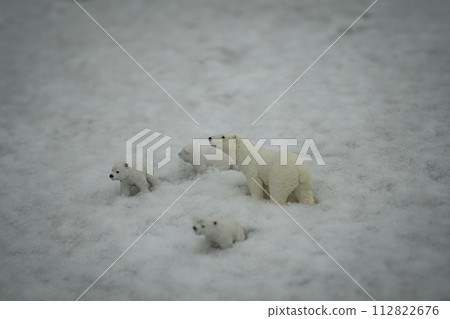 Polar bear, polar bear, polar bear, wild animal, snow, extremely cold environment, miniature diorama, parent and child Polar bear, polar bear, polar bear, wild animal, snow, extremely cold environment, miniature diorama, parent and child 112822676