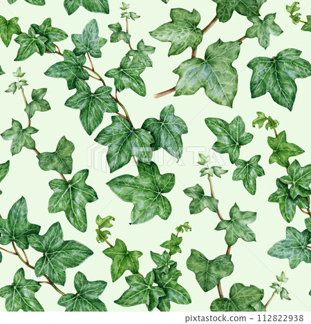 Ivy plant seamless pattern. Watercolor illustration. Green lush hedera helix painted image. Botanical fresh ivy green stem with leaves and buds. Garden evergreen hedera plant seamless pattern 112822938