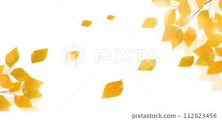 Autumn leaves autumn background 112823456