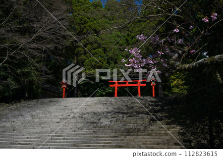 櫻花盛開時的霧島神社 櫻花盛開時的霧島神社 112823615