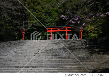 櫻花盛開時的霧島神社 112823618