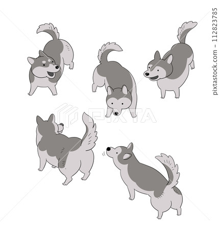 Dog Simple and cute Siberian Husky illustration set Dog Simple and cute Siberian Husky illustration set 112823785