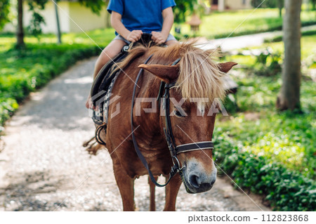 Little boy riding small horse. Summer mood bright nature. Hotel park near sea. Communication with animals Little boy riding small horse. Summer mood bright nature. Hotel park near sea. Communication with animals 112823868