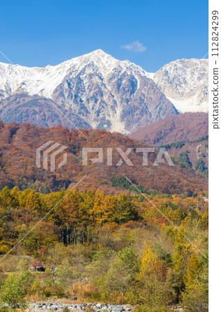 秋天的長野縣白馬、三層秋葉的白馬三山、白馬矢裡岳 112824299
