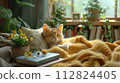 A cute cat lies on a mustard yellow blanket, surrounded by indoor plants and daisies, basking in the gentle warmth of the sun. 112824405