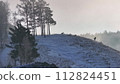 Group of Deer Standing on Snow Covered Hill 112824451