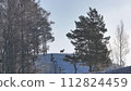 Deer Standing on Snow-Covered Hill 112824459