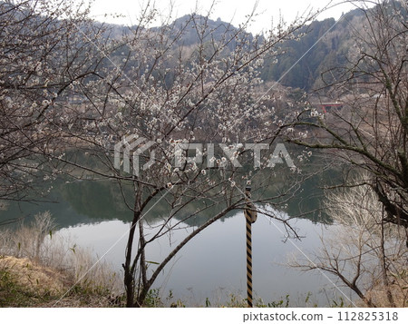 Tsukigase in Nara, famous place for plum blossoms 112825318