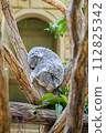 Koala sleeping on a tree 112825342