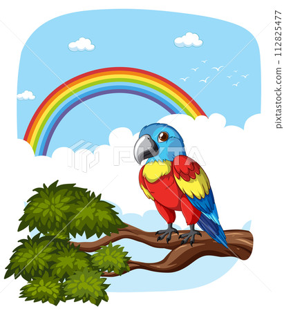 Colorful Parrot on Branch with Rainbow 112825477
