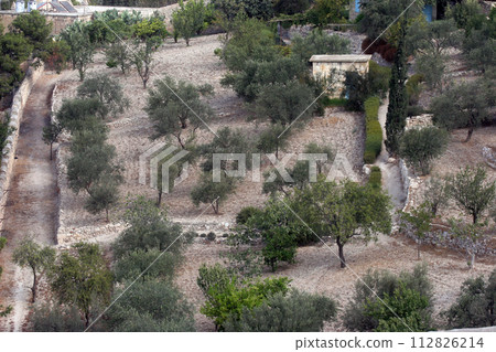 Mount of Olives in Jerusalem, Israel 112826214