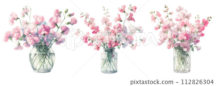 玻璃花瓶裡的甜豌豆水彩插畫素材集 112826304