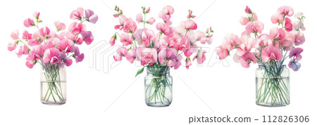 玻璃花瓶裡的甜豌豆水彩插畫素材集 112826306