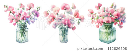 玻璃花瓶裡的甜豌豆水彩插畫素材集 112826308