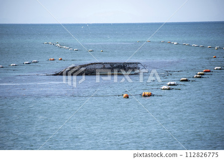 [明石] 海藻釣魚 112826775