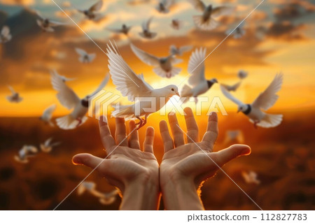 Hand releasing a white dove into the sky during sunset, symbolizing peace and freedom 112827783