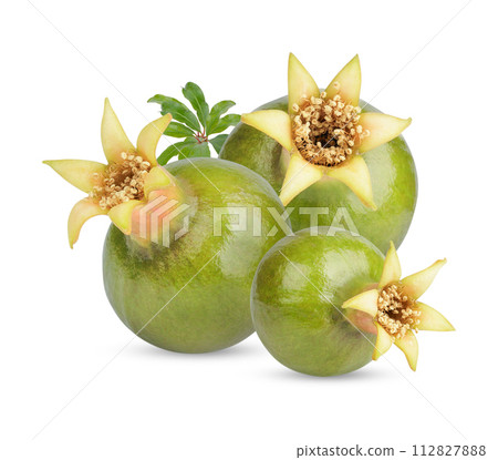 Fresh pomegranate with leaves isolated on white background 112827888
