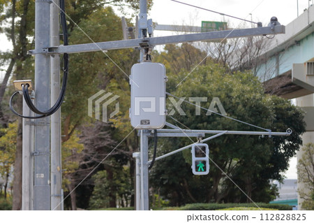 pedestrian traffic light pedestrian traffic light 112828825