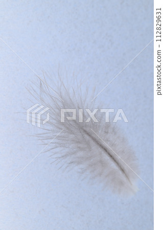 Soft feathers (wild bird feathers) 112829631
