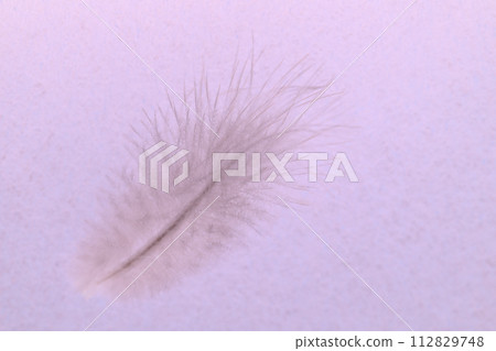 Soft feathers (wild bird feathers) 112829748