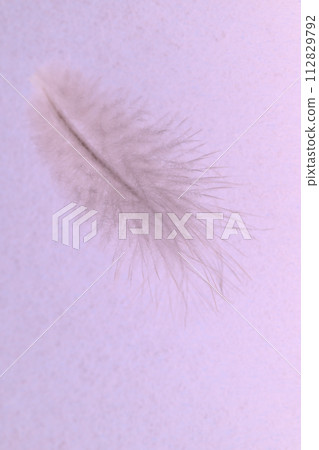 Soft feathers (wild bird feathers) Soft feathers (wild bird feathers) 112829792