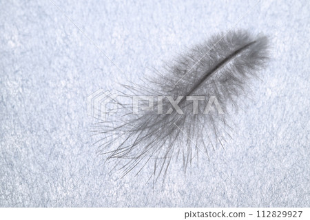 Soft feathers (wild bird feathers) Soft feathers (wild bird feathers) 112829927