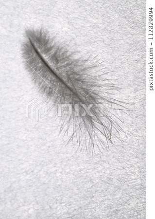 Soft feathers (wild bird feathers) Soft feathers (wild bird feathers) 112829994