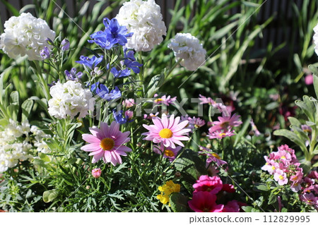 色彩繽紛的春天插花 112829995