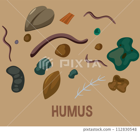 Colorful Humus Soil Composition Illustration 112830548