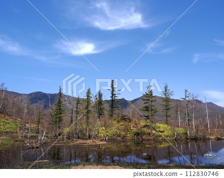 乘鞍高原一之川地的“泥鰍池”，藍天白雲下，初春的陽光包圍著的晴天 112830746