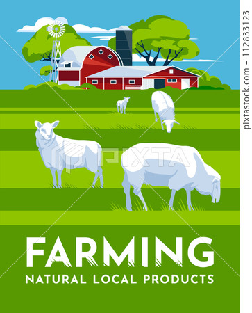 sheep farm concept. A large field with green grass and a traditional farmhouse with a barn. Agriculture, farming and harvest concept. vector flat illustration sheep farm concept. A large field with green grass and a traditional farmhouse with a barn. Agriculture, farming and harvest concept. vector flat illustration 112833123
