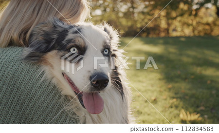 Woman gently embraces his faithful dog in the rays of the setting sun. Attachment and Favorite Pet Concept 112834583