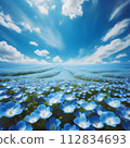 Nemophila in full bloom spreading out against the blue sky 112834693